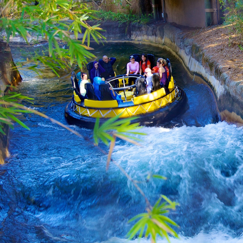 Busch-Gardens-03