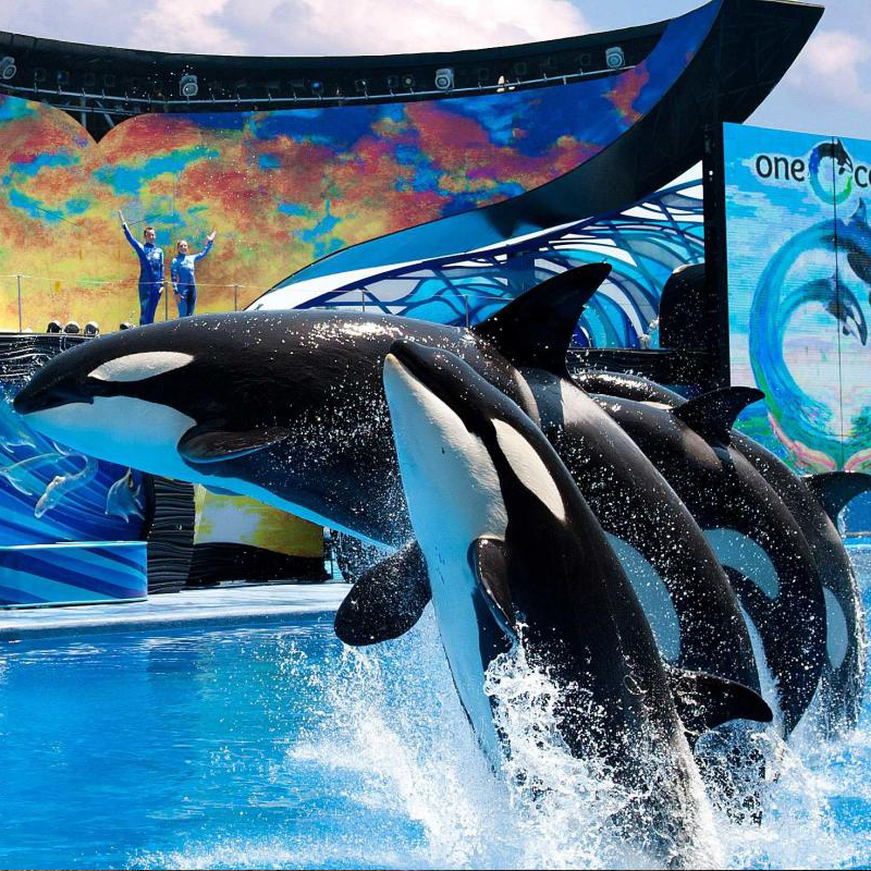 carrossel-seaworld-01
